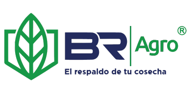 Cliente corporativo